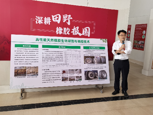 李積華介紹高性能天然橡膠生物凝固與調(diào)控技術(shù)